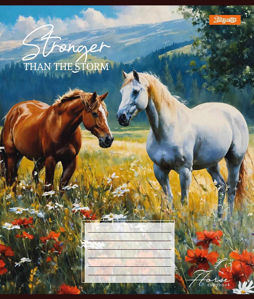 Зошит шкільний 12 аркушів коса лінія Stronger than the storm 1 Вересня
