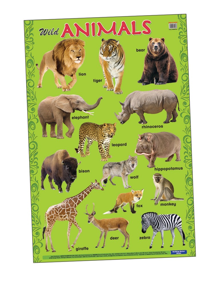 Плакат Wild Animals (ламінація)