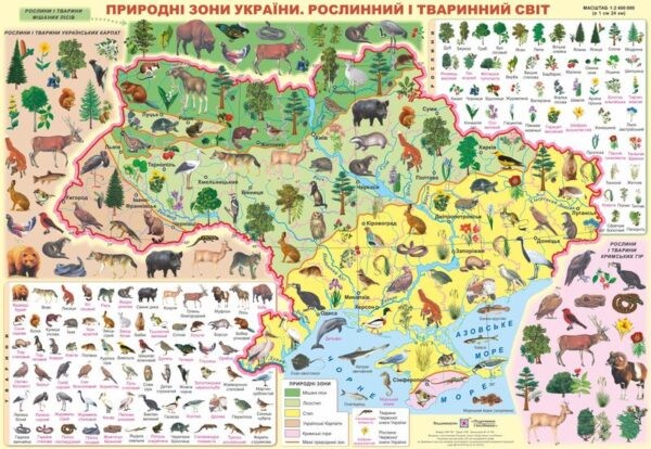 Плакат Природні зони України Рослинний і тваринний світ.