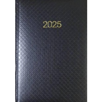 Щоденник датований Economix 2025 А5 Лінія чорний (E21609-01)