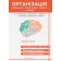 Організація корекційно-розвиткової роботи з дітьми із затримкою психічного розвитку в закладі дошкільної освіти Середня група