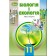 Остапченко 11 клас Біологія та екологія Підручник (рівень стандарт) 2019