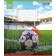 Зошит шкільний 36 аркушів лінія 1 вересня Win