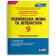 Тестовий контроль результатів навчання 9 клас Українська мова та література